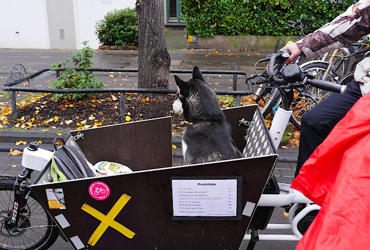 © www.mutbuergerdokus.de: 'Fahrrad-Demonstration zum 10-jährigen Jubiläum der unrealisierten Radschnellwege in NRW auf der Strecke des künftigen Radwegs von Frechen nach Köln'