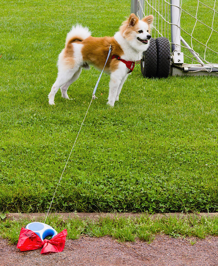 © www.mutbuergerdokus.de: Fußball Freunde Büderich '22 e.V.: 'Fußballfest der Vielfalt'